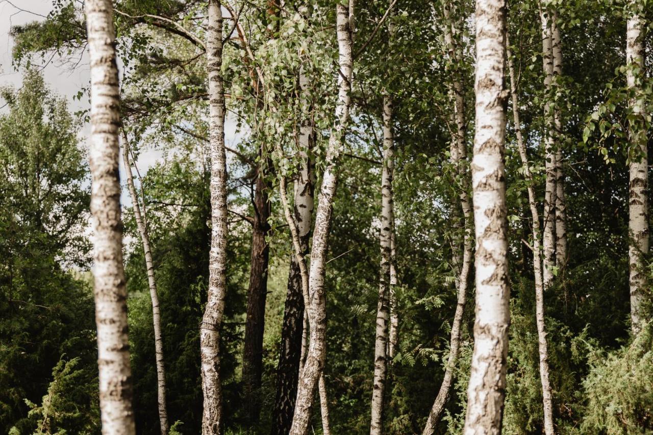 Berzu Namelis - Birch Cabin Kuciunai Екстер'єр фото