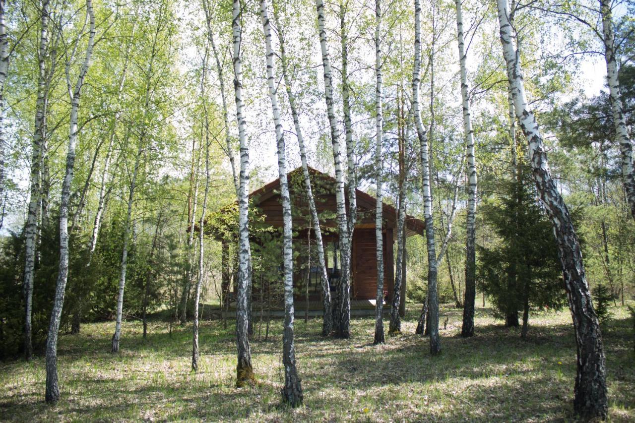 Berzu Namelis - Birch Cabin Kuciunai Екстер'єр фото